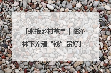 张掖乡村故事｜临泽林下养鹅“钱”景好
