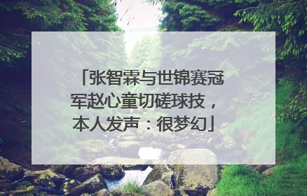 张智霖与世锦赛冠军赵心童切磋球技，本人发声：很梦幻