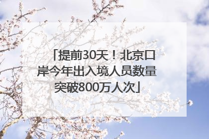提前30天！北京口岸今年出入境人员数量突破800万人次