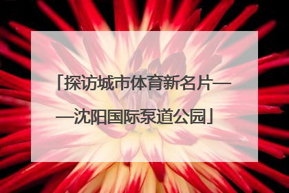 探访城市体育新名片——沈阳国际泵道公园