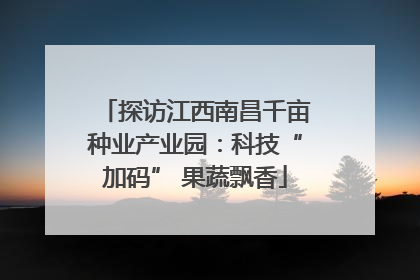 探访江西南昌千亩种业产业园：科技“加码” 果蔬飘香