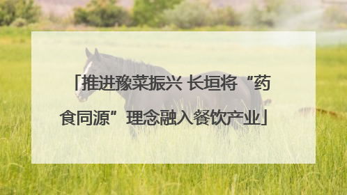 推进豫菜振兴 长垣将“药食同源”理念融入餐饮产业