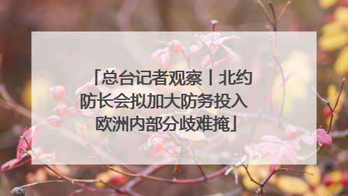 总台记者观察丨北约防长会拟加大防务投入 欧洲内部分歧难掩