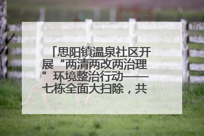 思阳镇温泉社区开展“两清两改两治理”环境整治行动——七栋全面大扫除，共建洁净家园