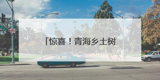 惊喜！青海乡土树种中提取出护肤品