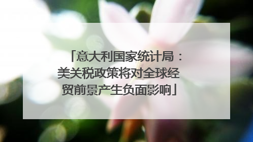 意大利国家统计局：美关税政策将对全球经贸前景产生负面影响