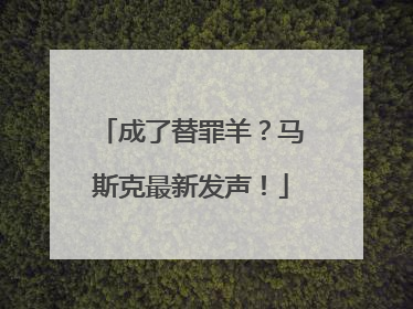成了替罪羊？马斯克最新发声！