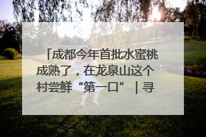 成都今年首批水蜜桃成熟了，在龙泉山这个村尝鲜“第一口”｜寻找和美乡村推荐官