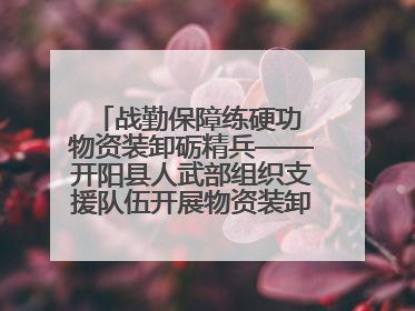 战勤保障练硬功 物资装卸砺精兵——开阳县人武部组织支援队伍开展物资装卸专业训练