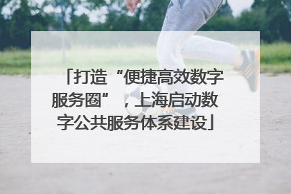 打造“便捷高效数字服务圈”，上海启动数字公共服务体系建设