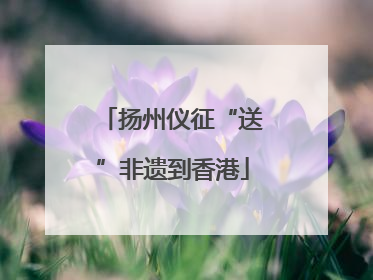 扬州仪征“送”非遗到香港