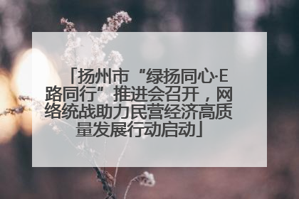 扬州市“绿扬同心·E路同行”推进会召开，网络统战助力民营经济高质量发展行动启动