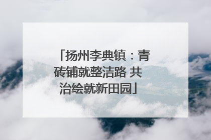 扬州李典镇：青砖铺就整洁路 共治绘就新田园