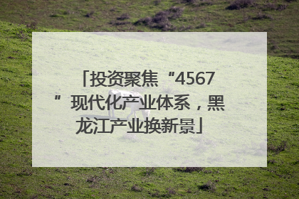 投资聚焦“4567”现代化产业体系，黑龙江产业换新景