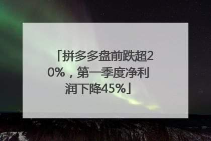 拼多多盘前跌超20%，第一季度净利润下降45%