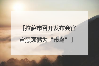 拉萨市召开发布会官宣黑颈鹤为“市鸟”