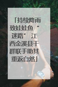 持续降雨致娃娃鱼“迷路” 江西金溪县干群联手助其重返自然
