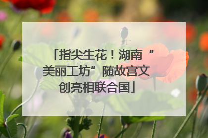 指尖生花！湖南“美丽工坊”随故宫文创亮相联合国