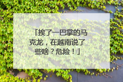 挨了一巴掌的马克龙，在越南说了些啥？危险！