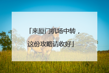 来厦门机场中转，这份攻略请收好