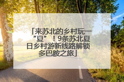 来苏北的乡村玩一“夏”！9条苏北夏日乡村游新线路解锁多巴胺之旅
