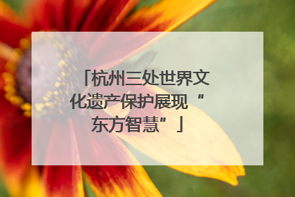 杭州三处世界文化遗产保护展现“东方智慧”