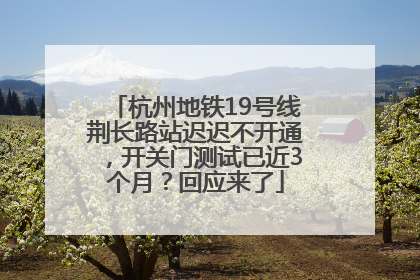 杭州地铁19号线荆长路站迟迟不开通，开关门测试已近3个月？回应来了