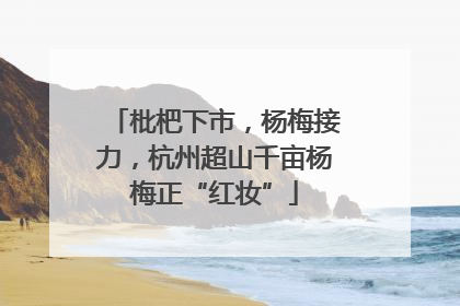 枇杷下市，杨梅接力，杭州超山千亩杨梅正“红妆”
