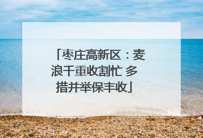 枣庄高新区：麦浪千重收割忙 多措并举保丰收