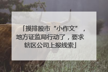 摸排股市“小作文”，地方证监局行动了，要求辖区公司上报线索