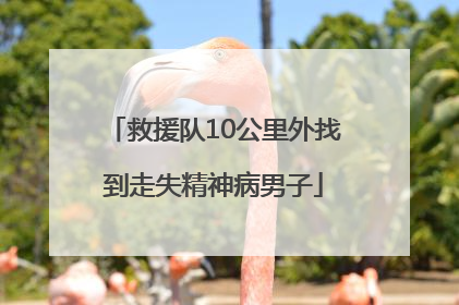 救援队10公里外找到走失精神病男子
