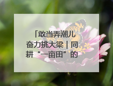 敢当弄潮儿 奋力挑大梁｜同耕“一亩田”的崇川实践