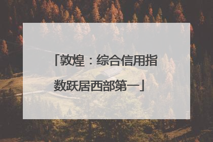 敦煌：综合信用指数跃居西部第一