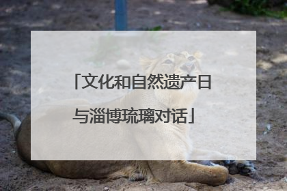 文化和自然遗产日与淄博琉璃对话