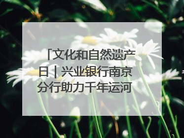 文化和自然遗产日｜兴业银行南京分行助力千年运河焕新出彩