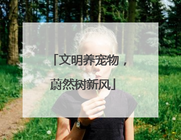 文明养宠物，蔚然树新风