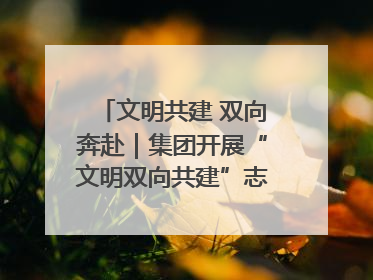 文明共建 双向奔赴｜集团开展“文明双向共建”志愿服务活动