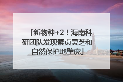 新物种+2！海南科研团队发现素贞灵芝和自然保护地壁虎