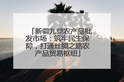 新疆九鼎农产品批发市场：筑牢民生保障，打通丝绸之路农产品贸易枢纽