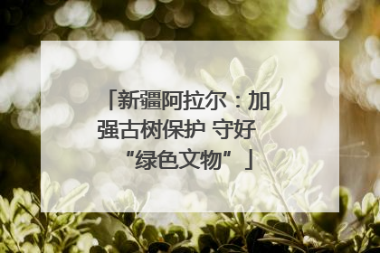 新疆阿拉尔:加强古树保护 守好“绿色文物”