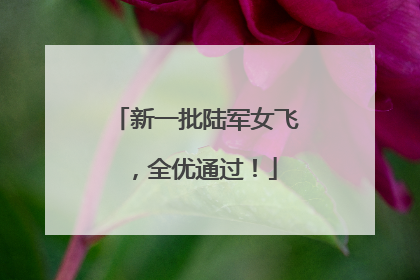 新一批陆军女飞，全优通过！