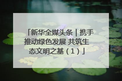 新华全媒头条｜携手推动绿色发展 共筑生态文明之基（1）