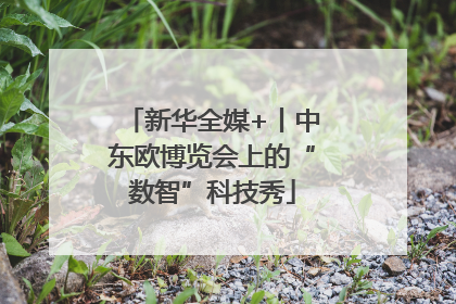 新华全媒+丨中东欧博览会上的“数智”科技秀
