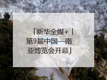 新华全媒+丨第9届中国—南亚博览会开幕
