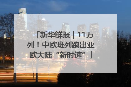 新华鲜报｜11万列！中欧班列跑出亚欧大陆“新时速”