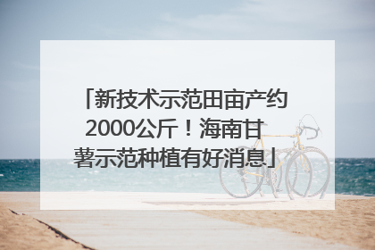 新技术示范田亩产约2000公斤！海南甘薯示范种植有好消息