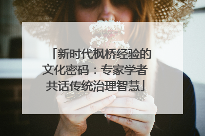 新时代枫桥经验的文化密码：专家学者共话传统治理智慧