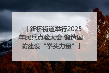 新桥街道举行2025年民兵点验大会 锻造国防建设“拳头力量”