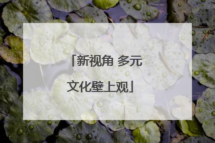 新视角 多元文化壁上观