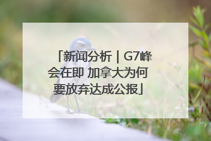 新闻分析｜G7峰会在即 加拿大为何要放弃达成公报